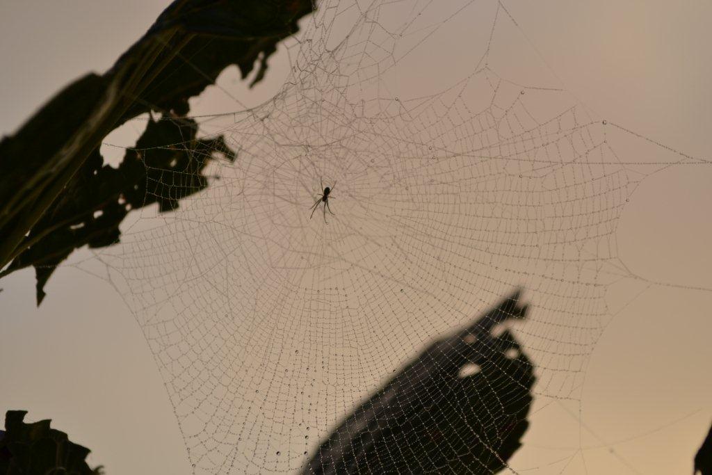 «ö¦¹¦b·sµøµ¡ÂsÄý¹Ï¤ù