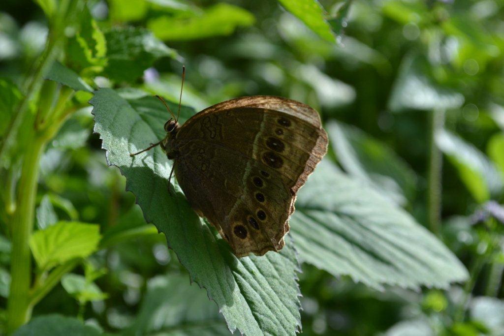 «ö¦¹¦b·sµøµ¡ÂsÄý¹Ï¤ù