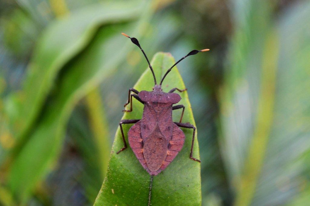 «ö¦¹¦b·sµøµ¡ÂsÄý¹Ï¤ù