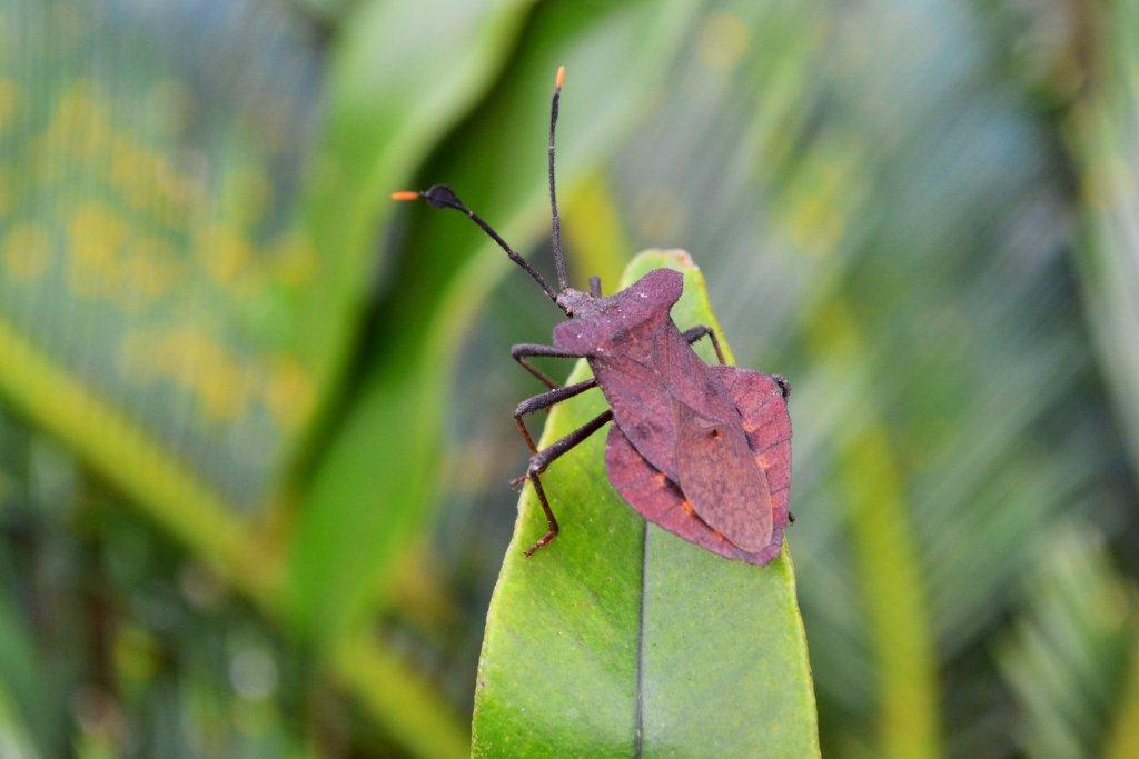 «ö¦¹¦b·sµøµ¡ÂsÄý¹Ï¤ù