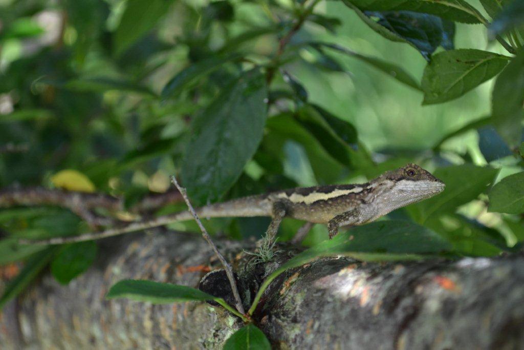 «ö¦¹¦b·sµøµ¡ÂsÄý¹Ï¤ù