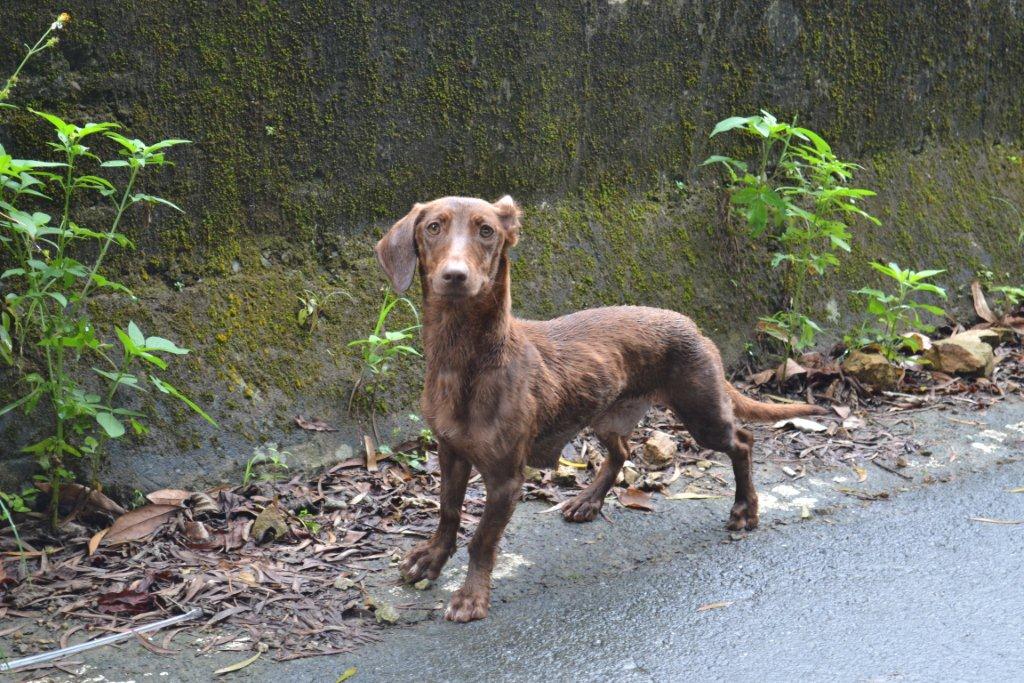 «ö¦¹¦b·sµøµ¡ÂsÄý¹Ï¤ù