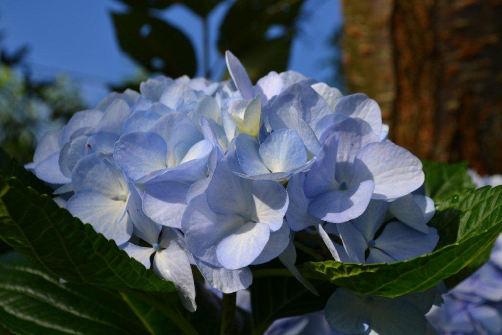 «ö¦¹¦b·sµøµ¡ÂsÄý¹Ï¤ù