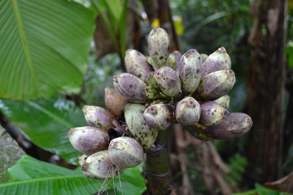 «ö¦¹¦b·sµøµ¡ÂsÄý¹Ï¤ù