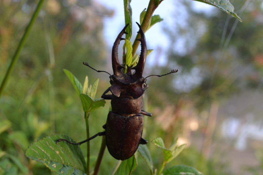 «ö¦¹¦b·sµøµ¡ÂsÄý¹Ï¤ù