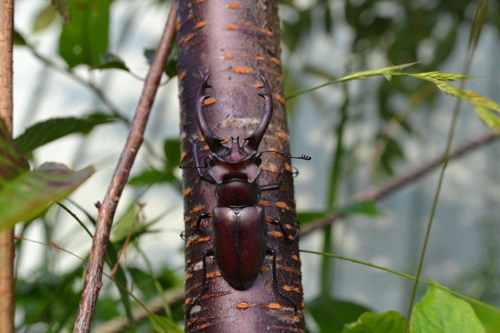 «ö¦¹¦b·sµøµ¡ÂsÄý¹Ï¤ù