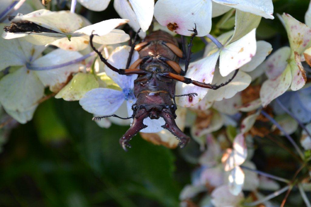 «ö¦¹¦b·sµøµ¡ÂsÄý¹Ï¤ù