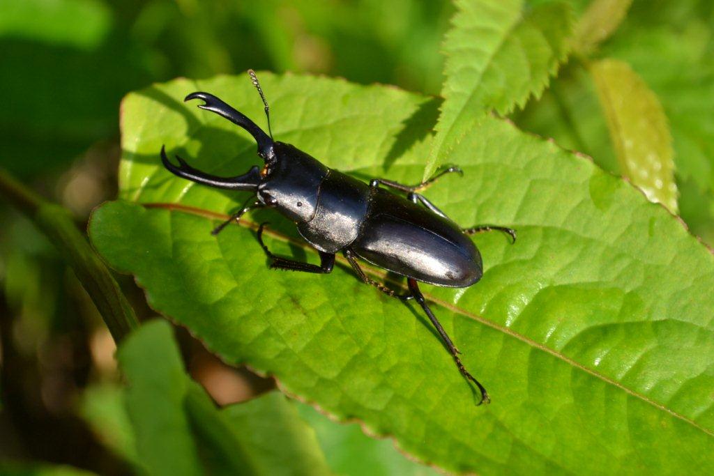 «ö¦¹¦b·sµøµ¡ÂsÄý¹Ï¤ù