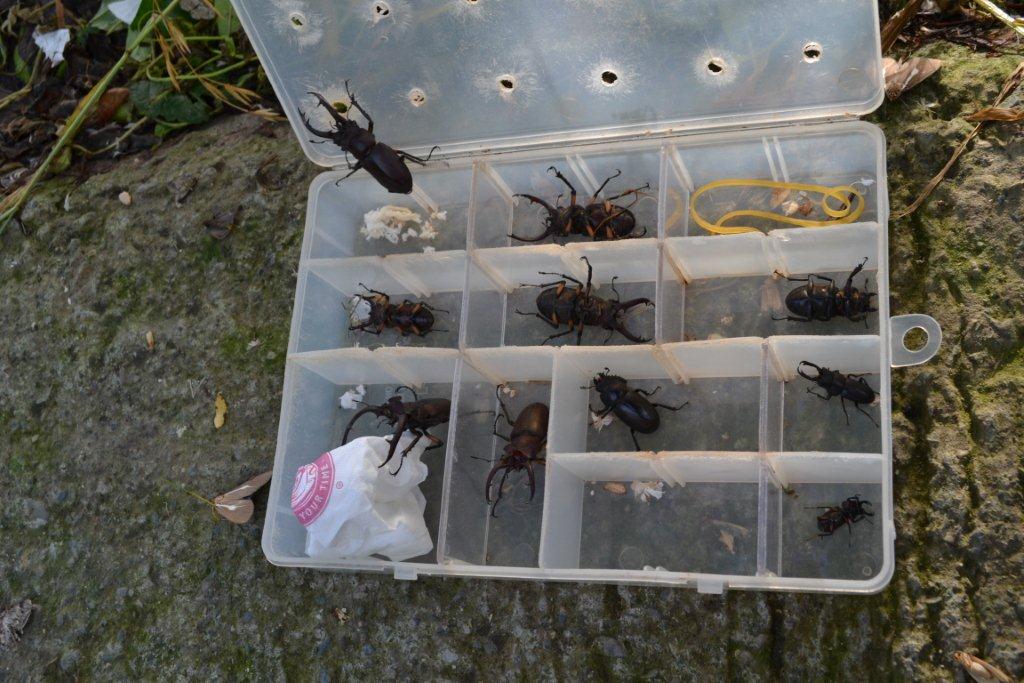 «ö¦¹¦b·sµøµ¡ÂsÄý¹Ï¤ù