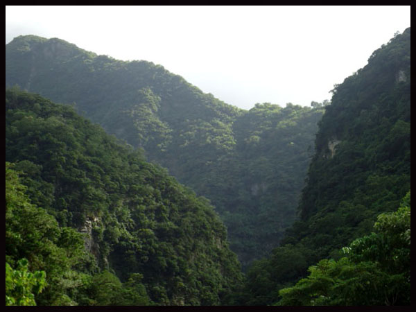 «ö¦¹¦b·sµøµ¡ÂsÄý¹Ï¤ù