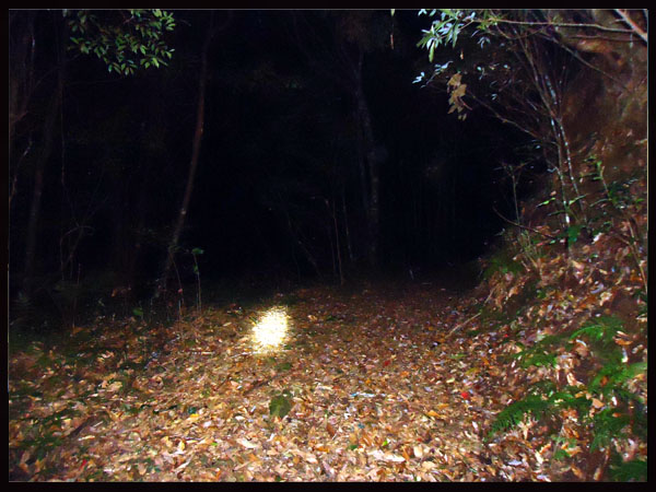 «ö¦¹¦b·sµøµ¡ÂsÄý¹Ï¤ù