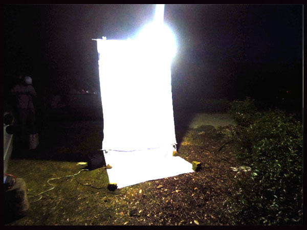 «ö¦¹¦b·sµøµ¡ÂsÄý¹Ï¤ù