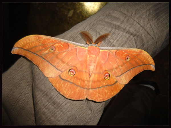 «ö¦¹¦b·sµøµ¡ÂsÄý¹Ï¤ù