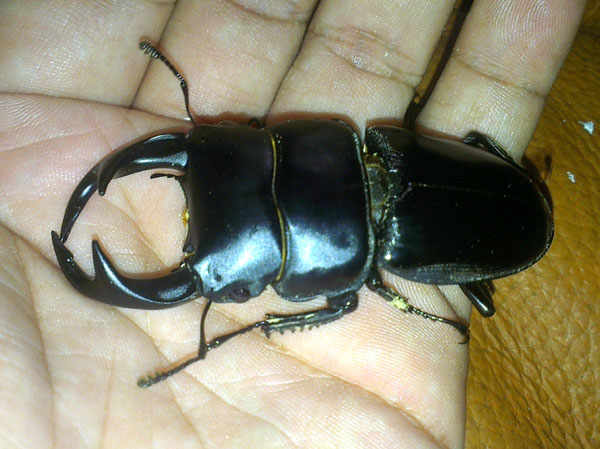 «ö¦¹¦b·sµøµ¡ÂsÄý¹Ï¤ù