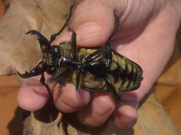 «ö¦¹¦b·sµøµ¡ÂsÄý¹Ï¤ù