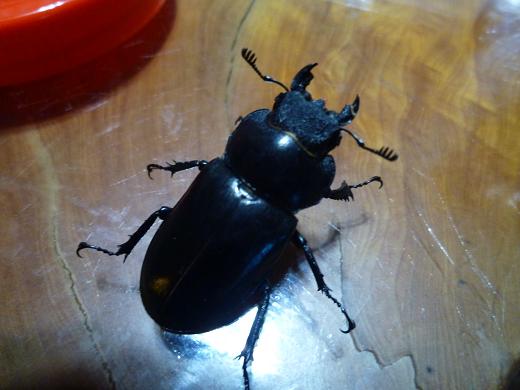 按此在新視窗瀏覽圖片