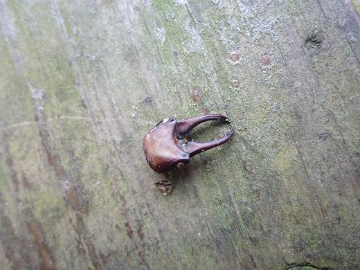 «ö¦¹¦b·sµøµ¡ÂsÄý¹Ï¤ù