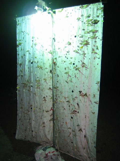 «ö¦¹¦b·sµøµ¡ÂsÄý¹Ï¤ù