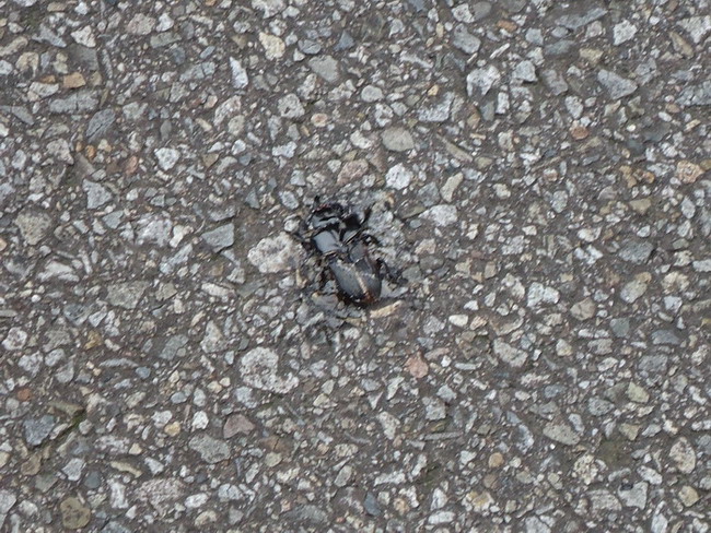 «ö¦¹¦b·sµøµ¡ÂsÄý¹Ï¤ù