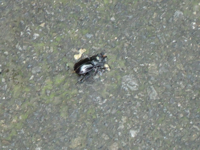 «ö¦¹¦b·sµøµ¡ÂsÄý¹Ï¤ù