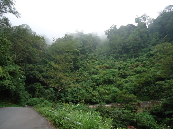 «ö¦¹¦b·sµøµ¡ÂsÄý¹Ï¤ù