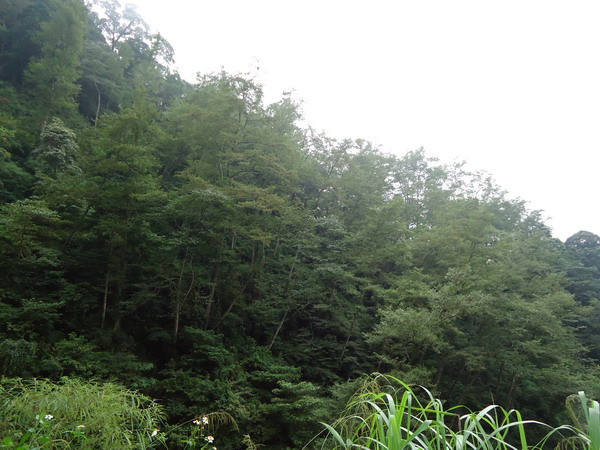 «ö¦¹¦b·sµøµ¡ÂsÄý¹Ï¤ù