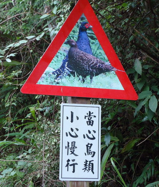 «ö¦¹¦b·sµøµ¡ÂsÄý¹Ï¤ù