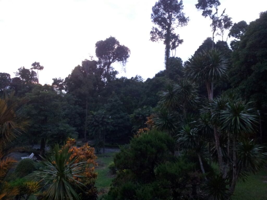 «ö¦¹¦b·sµøµ¡ÂsÄý¹Ï¤ù