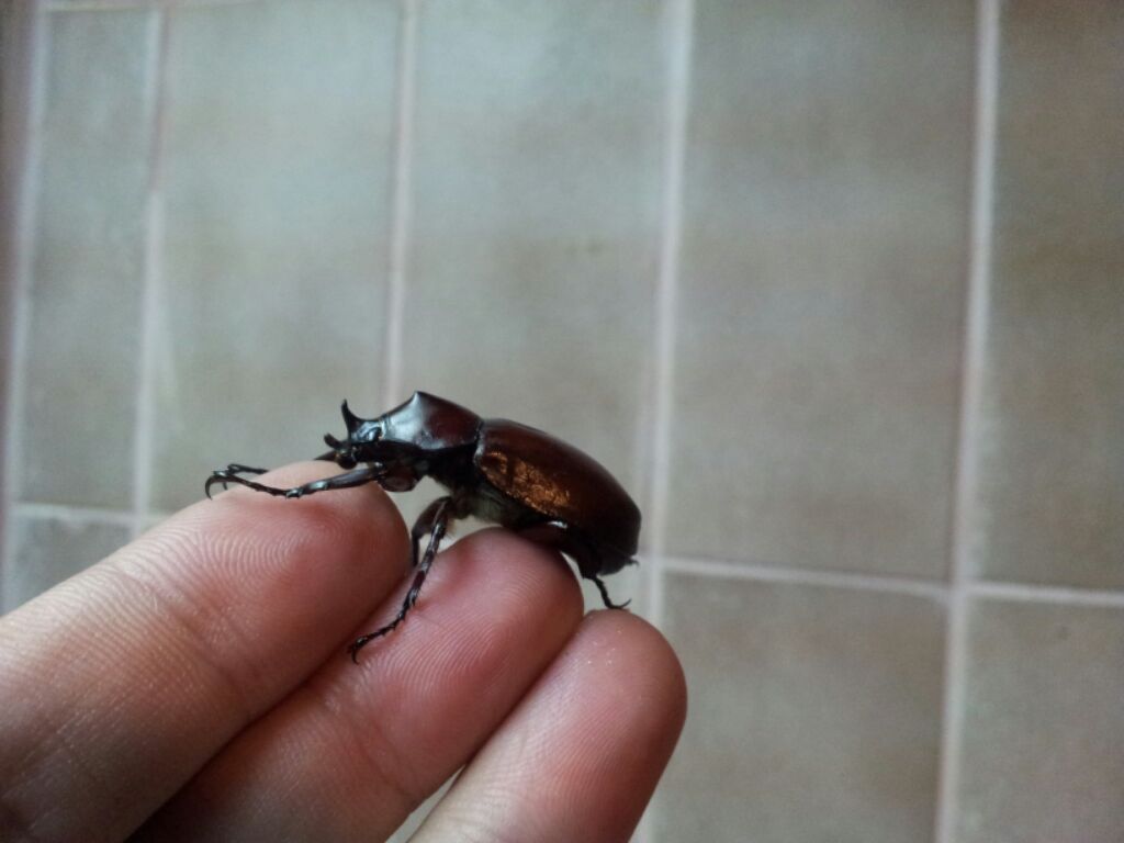 «ö¦¹¦b·sµøµ¡ÂsÄý¹Ï¤ù