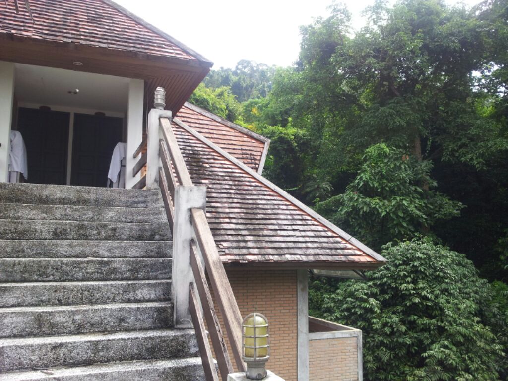 «ö¦¹¦b·sµøµ¡ÂsÄý¹Ï¤ù