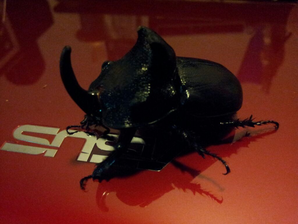 «ö¦¹¦b·sµøµ¡ÂsÄý¹Ï¤ù