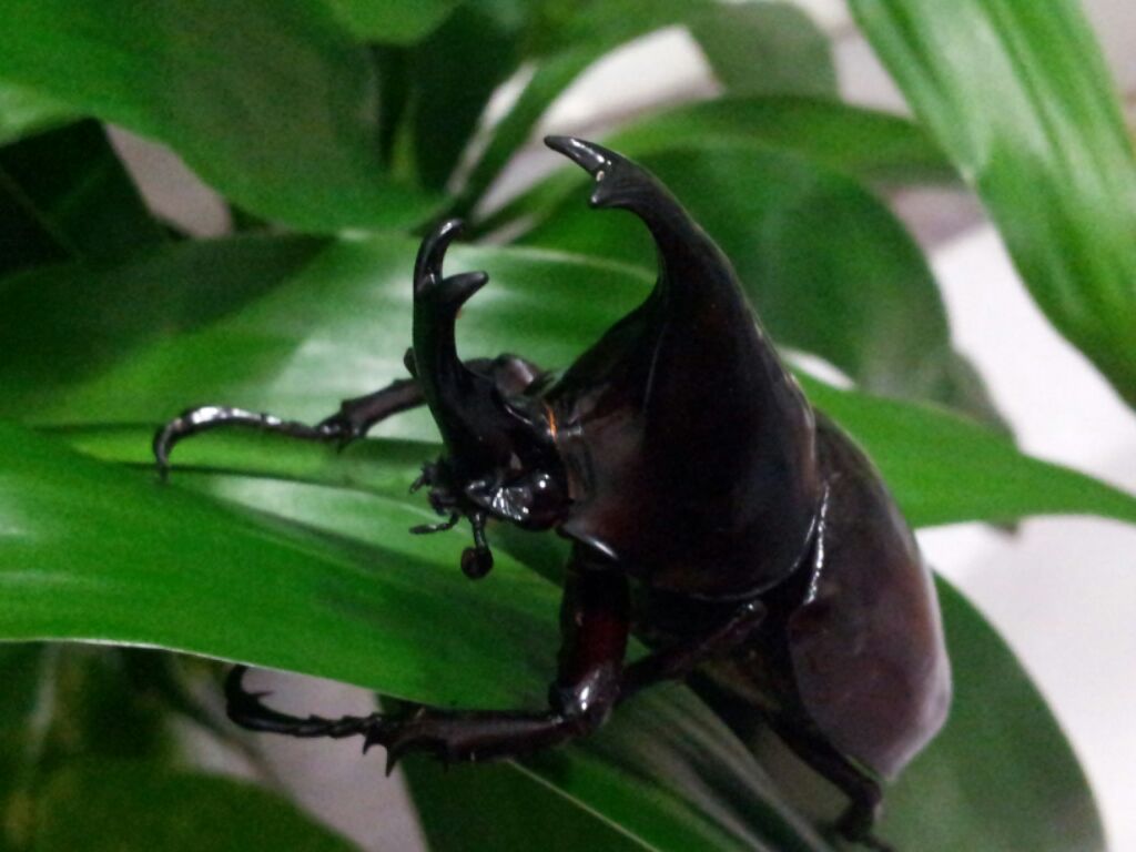 «ö¦¹¦b·sµøµ¡ÂsÄý¹Ï¤ù