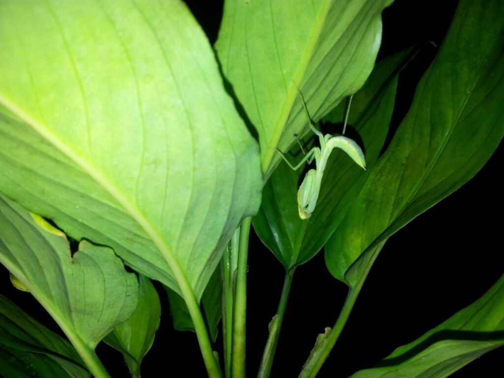 «ö¦¹¦b·sµøµ¡ÂsÄý¹Ï¤ù