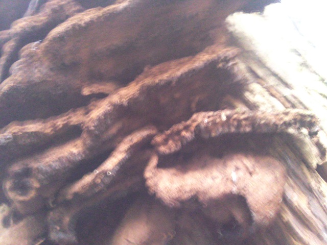 «ö¦¹¦b·sµøµ¡ÂsÄý¹Ï¤ù