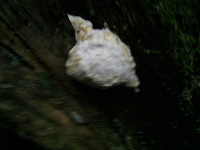 «ö¦¹¦b·sµøµ¡ÂsÄý¹Ï¤ù