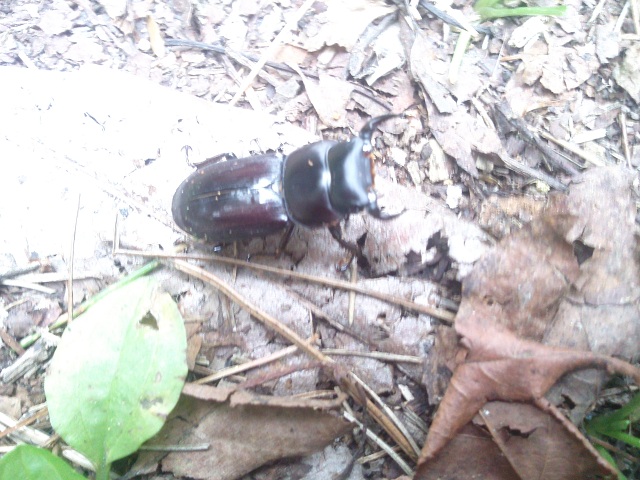 «ö¦¹¦b·sµøµ¡ÂsÄý¹Ï¤ù