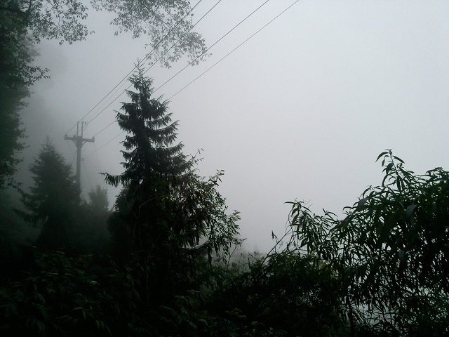 «ö¦¹¦b·sµøµ¡ÂsÄý¹Ï¤ù