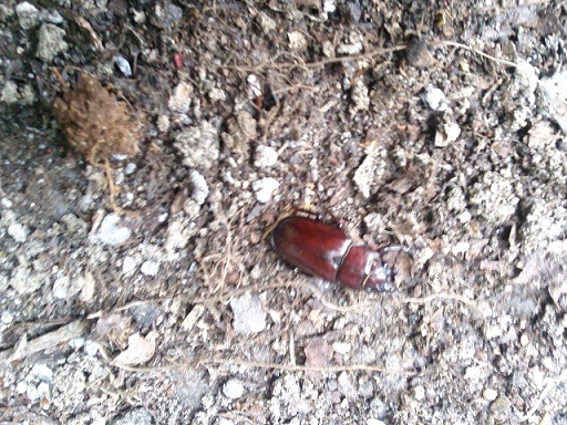 «ö¦¹¦b·sµøµ¡ÂsÄý¹Ï¤ù