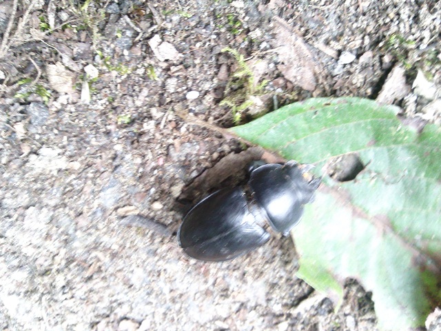 «ö¦¹¦b·sµøµ¡ÂsÄý¹Ï¤ù