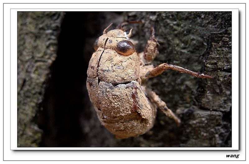 «ö¦¹¦b·sµøµ¡ÂsÄý¹Ï¤ù