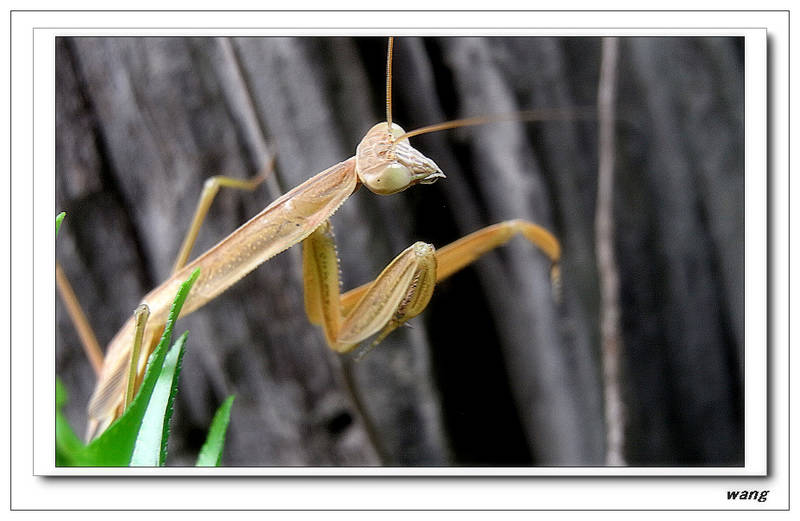 «ö¦¹¦b·sµøµ¡ÂsÄý¹Ï¤ù