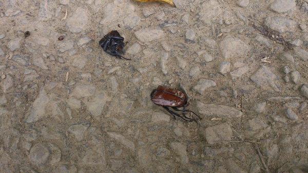 «ö¦¹¦b·sµøµ¡ÂsÄý¹Ï¤ù