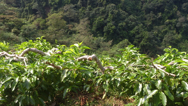 «ö¦¹¦b·sµøµ¡ÂsÄý¹Ï¤ù