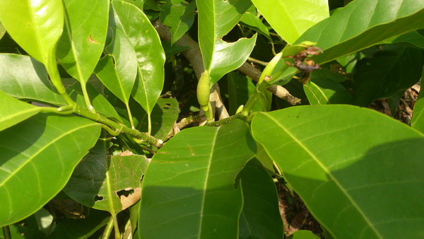 «ö¦¹¦b·sµøµ¡ÂsÄý¹Ï¤ù