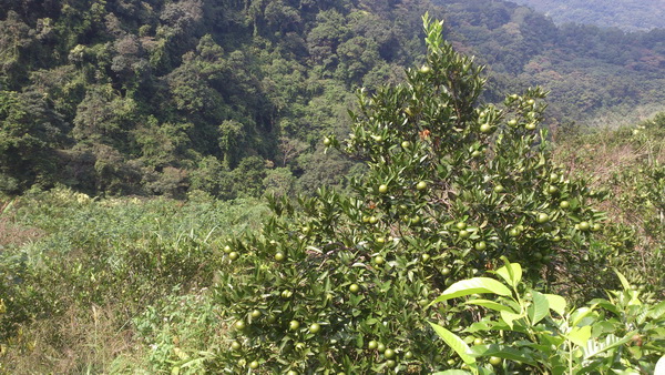 «ö¦¹¦b·sµøµ¡ÂsÄý¹Ï¤ù