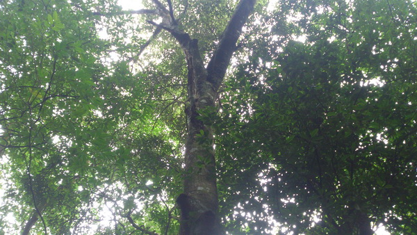 «ö¦¹¦b·sµøµ¡ÂsÄý¹Ï¤ù