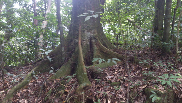 «ö¦¹¦b·sµøµ¡ÂsÄý¹Ï¤ù