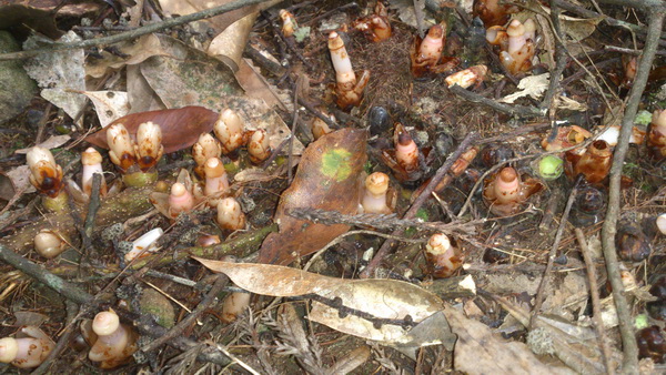 «ö¦¹¦b·sµøµ¡ÂsÄý¹Ï¤ù