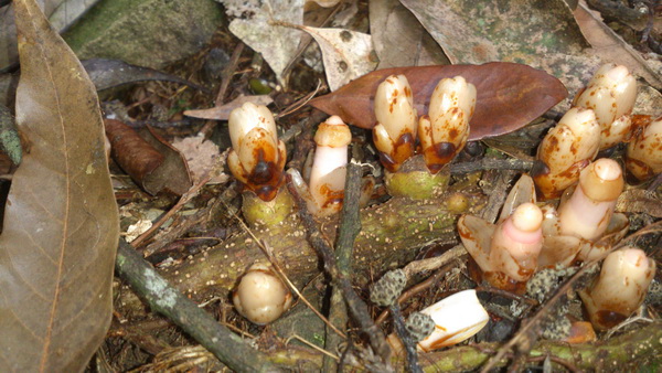 «ö¦¹¦b·sµøµ¡ÂsÄý¹Ï¤ù