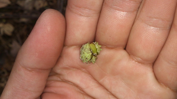 «ö¦¹¦b·sµøµ¡ÂsÄý¹Ï¤ù